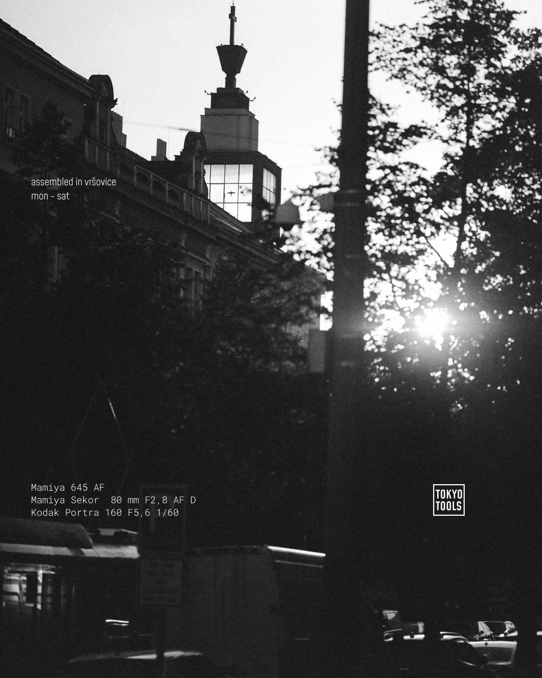 VRSOVICE-ANALOG_OCTOBER_4x5-8